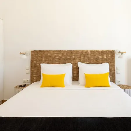 وايت أوركيد