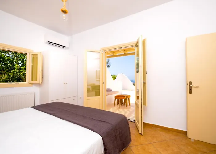 وايت أوركيد