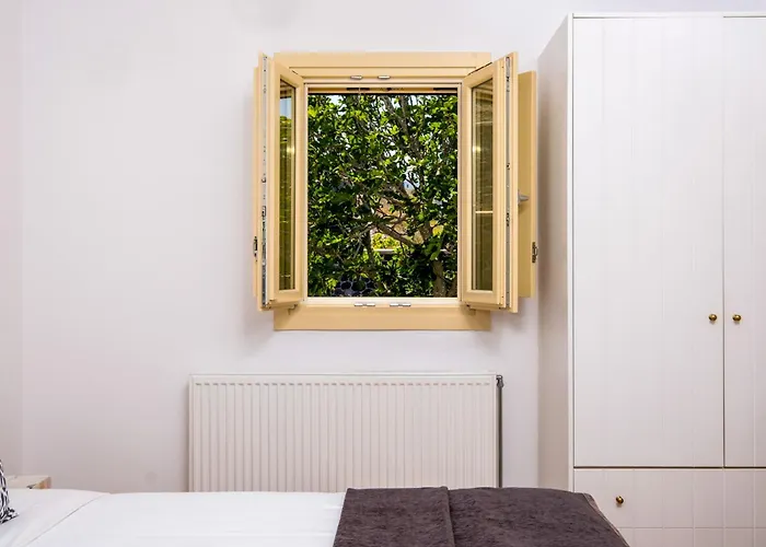 وايت أوركيد فيلة