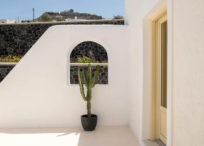 فيلة وايت أوركيد