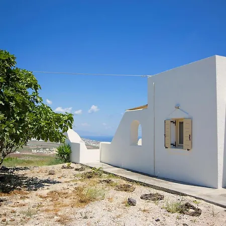 White Orchid * Πύργος